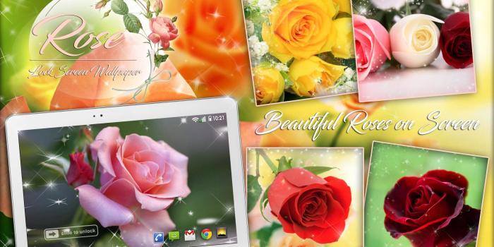2560x1600 Rose Lock Screen Wallpaper for Android - APK Download