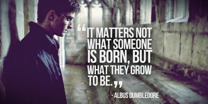 1920x1200 75+ Harry Potter Wallpapers on WallpaperPlay