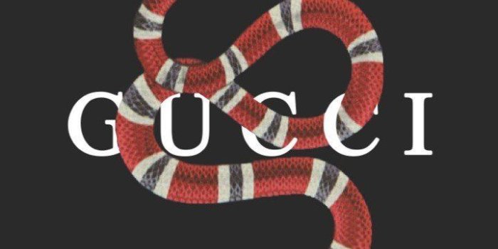 719x1280 Gucci iPhone HD Wallpapers - Top Free Gucci iPhone HD Backgrounds