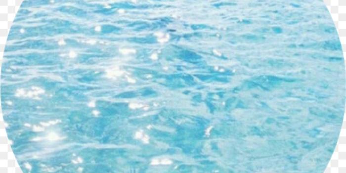 900x900 Lavender Background png download - 1024*1024 - Free Transparent