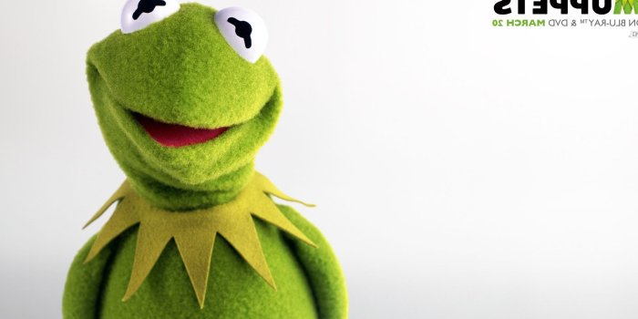 1824x1080 Download Frog Picture for Your Project on Animal Picture Society