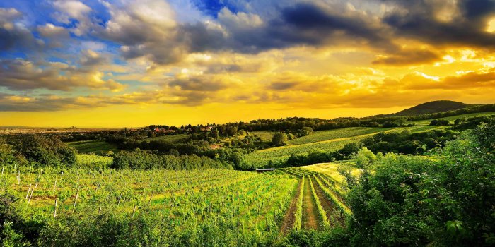 3840x2160 Download 2000+ 4K Wallpapers [3840x2160 Resolution]