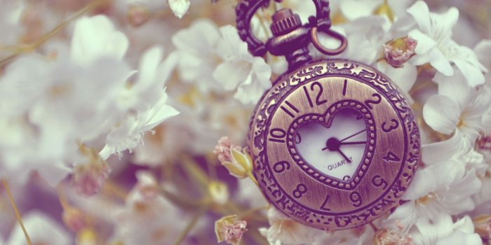 1920x1080 Download wallpaper 1920x1080 pocket watches, flowers, background