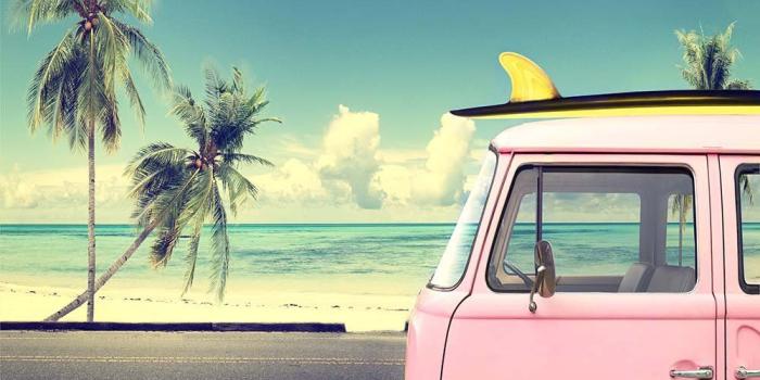 1000x1000 VW Surf Camper Van Map Wall Mural Photo Wallpaper Beach Palm Trees