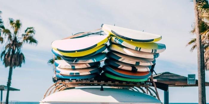 1080x2220 Volkswagen | Volkswagen Bus in 2019 | Surfing, Aesthetic wallpapers