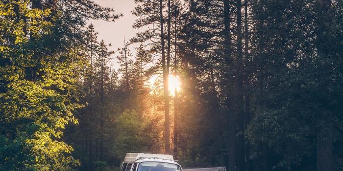 1275x1500 White and red Volkswagen van, vw bus, red, France, beach HD