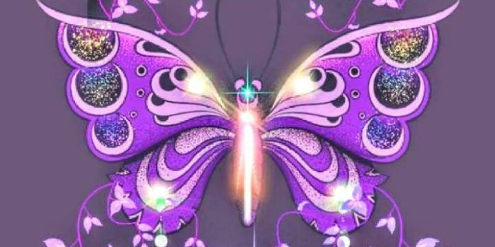 720x1280 Butterfly bling Wallpaper by KellieKat69 - ae - Free on ZEDGE™