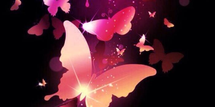 736x1309 Download Sparkly Butterfly Wallpaper (53+) - Free Wallpaper For your