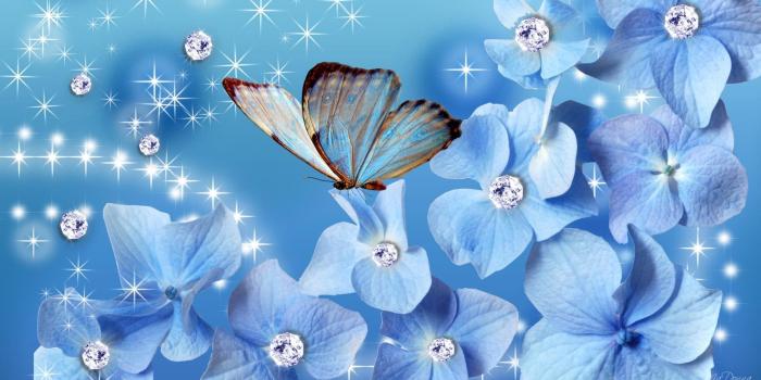 2560x1440 50+ Teal Diamonds Wallpapers - Download at WallpaperBro