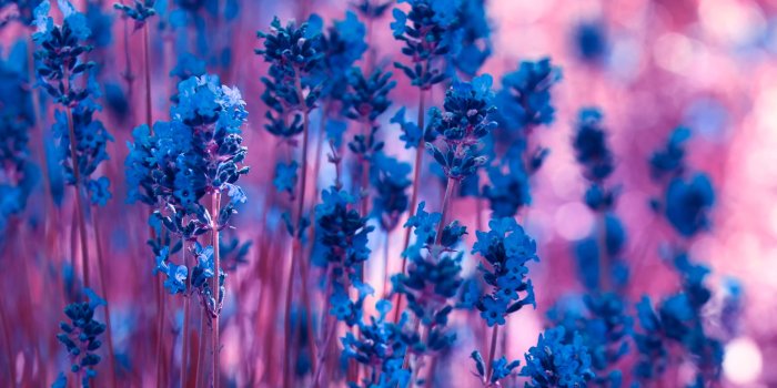 3840x2400 im.123: Free High Def Wallpaper (3840x2400 px) - Picserio.com