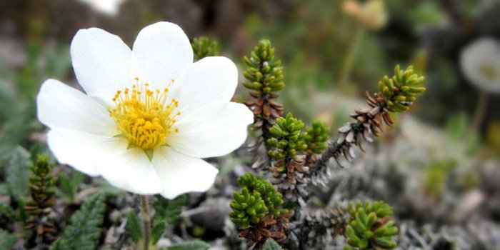 1920x1080 high def wallpapers - Page 3 of 3 - hdwallpaper20.com