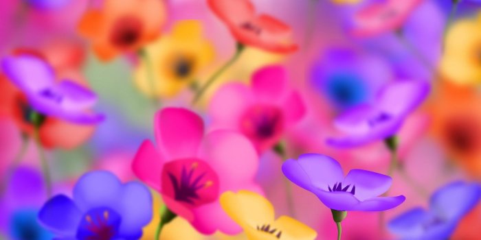 1920x1080 49+] Full HD Flower Wallpaper on WallpaperSafari
