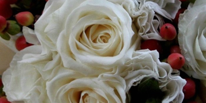 1080x1920 rose flower wallpapers - Erha.yasamayolver.com