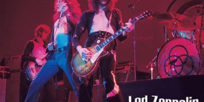 1024x768 Jimmy Page Wallpapers