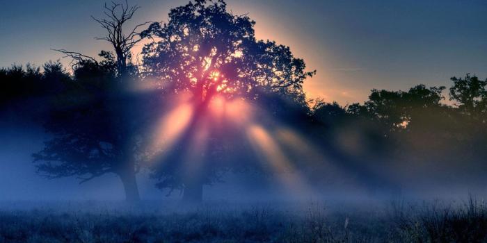 1280x800 Morning Aesthetic Desktop Wallpapers - Top Free Morning Aesthetic