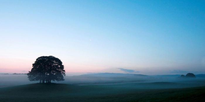 1280x800 Morning Aesthetic Desktop Wallpapers - Top Free Morning Aesthetic