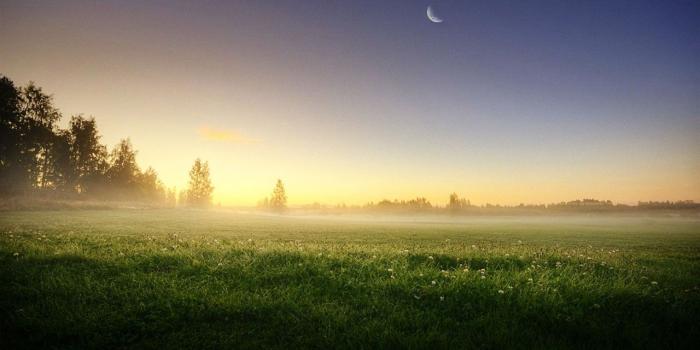 1280x800 Morning fog aesthetic landscape desktop wallpaper 10 － Landscape