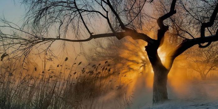 1280x800 Morning Aesthetic Desktop Wallpapers - Top Free Morning Aesthetic