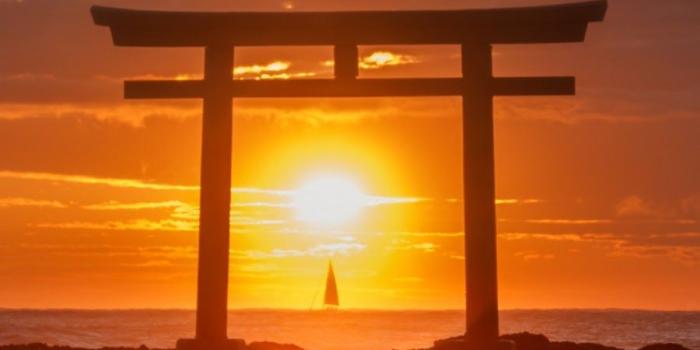 900x1600 Sunset in Japan. | Travel in 2019 | Aesthetic photography nature