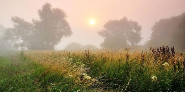 1280x800 Morning fog aesthetic landscape desktop wallpaper 11 － Landscape