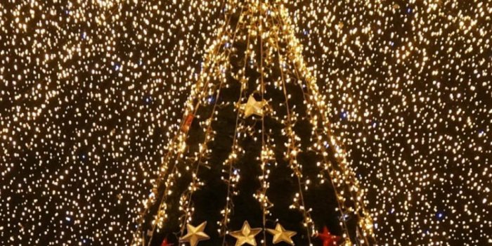 950x1520 Download Christmas Tree Lights Decorations Free Pure 4K Ultra HD