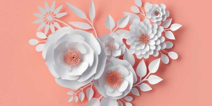 794x1410 Wallpaper Iphone ⚪ - Beautiful Amazing Good Morning Flowers (#10658