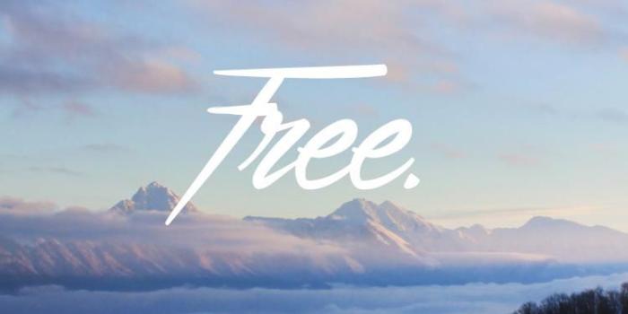 750x1334 Forest Mist Sky Free iPhone 6 Wallpaper HD - Free Download | iPhoneWalls