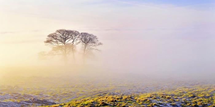 1280x800 Morning fog aesthetic landscape desktop wallpaper 12 － Landscape