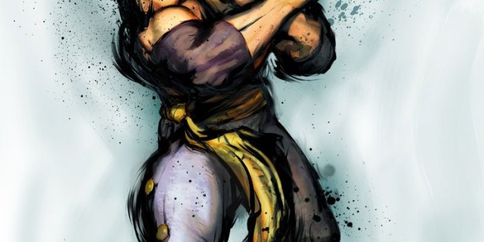 801x1149 Street Fighter Characters: Beautiful Illustrations and Wallpapers