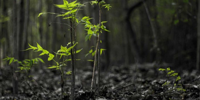 1366x768 World Beautiful Places Wallpapers