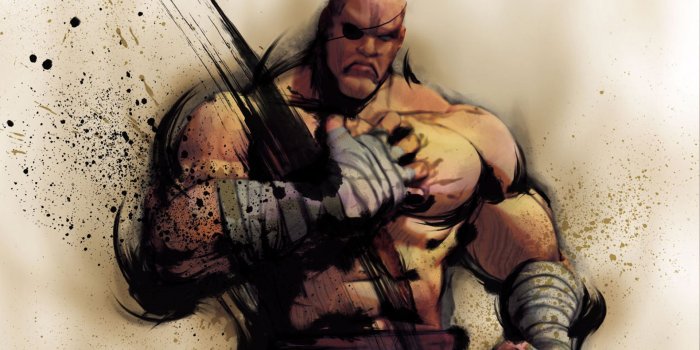 1920x1080 Street Fighter, Sagat, Street Fighter IV :: Wallpapers