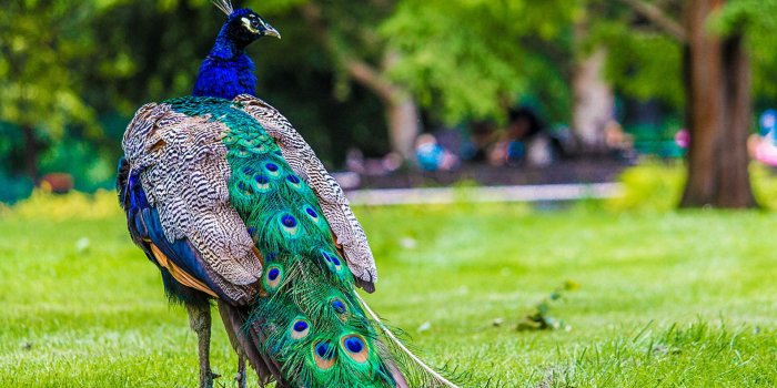 1920x1280 gousicteco: Most Beautiful Places In The World Hd Wallpaper Images