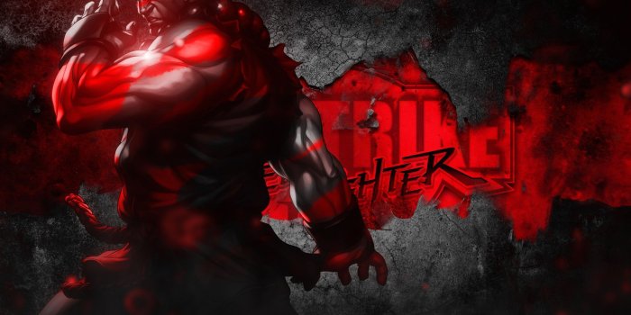 2560x1600 Street Fighter 4 Akuma Wallpapers