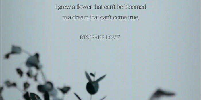 720x1280 Fake Love, Bts, And Wallpaper Image - Bts Song Lyrics Quotes, Hd