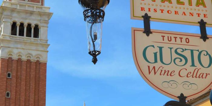 1080x1920 Walt Disney World Resort Wallpaper for Desktop, Laptop and SmartPhones