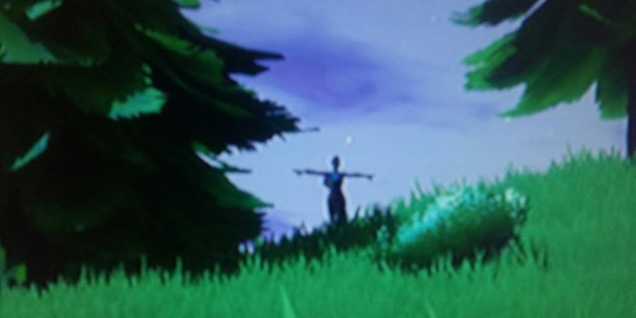 1024x768 The Fortnite T-Pose Compilation We Didn't Deserve But Need. | Dank