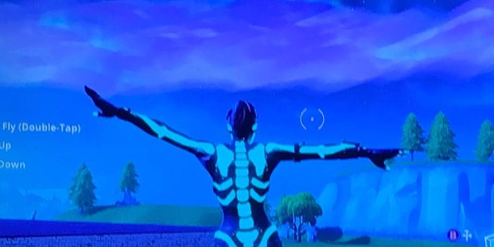 1024x768 Fortnite Wallpaper T Pose – Free Download Wallpaper