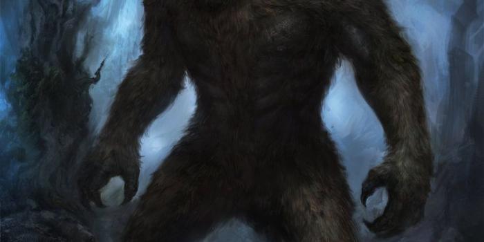 772x1034 The Beast | The School for Good and Evil Library | FANDOM powered by