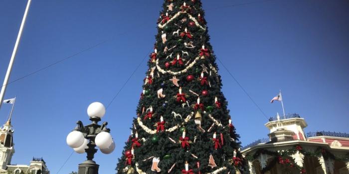 1024x768 Main Street Wishes in Disney World: Day Three