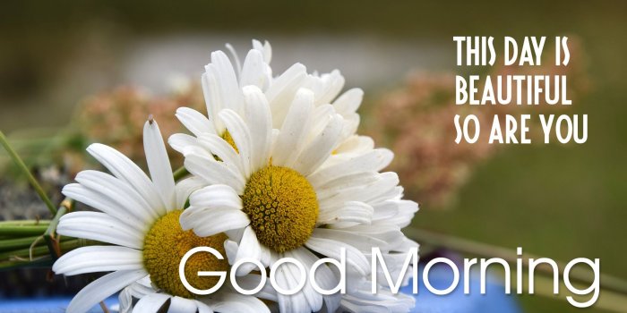 1920x1080 5 Beautiful Good Morning HD Wallpapers | BigHDWalls