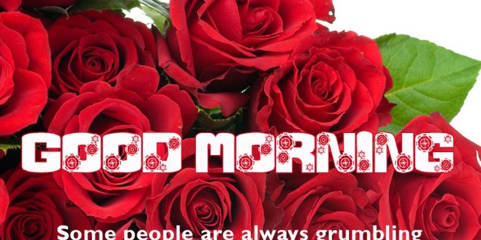 1024x768 Poetry and Worldwide Wishes: Good Morning Beautiful Flowers Image