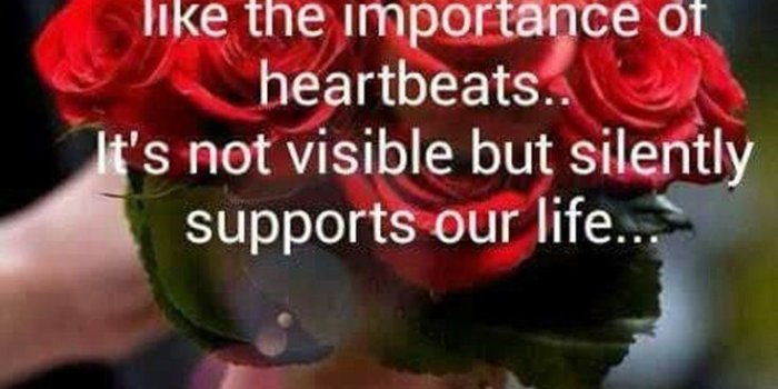 735x1104 56 Good Morning Quotes and Wishes with Beautiful Images - BoomSumo