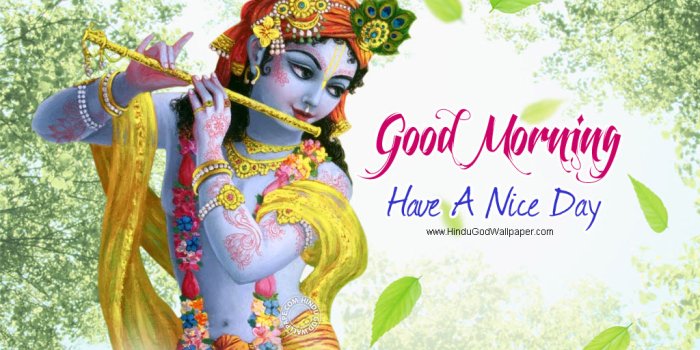 1024x768 Good Morning Wallpapers with Flowers Images Free Download