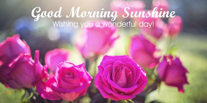 1920x1080 5 Beautiful Good Morning HD Wallpapers | BigHDWalls