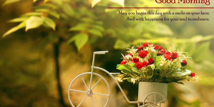 2560x1600 Good Morning HD Wallpapers