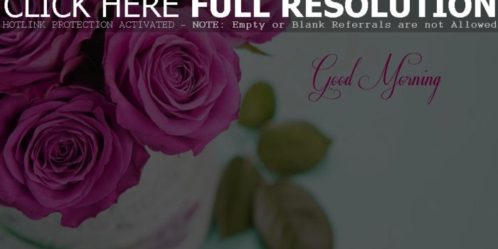 1920x1080 69+ Good Morning Wallpapers on WallpaperPlay