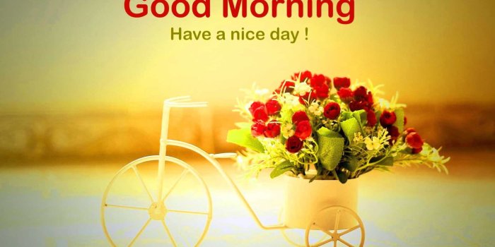 1920x1167 Good Morning Wallpapers HD