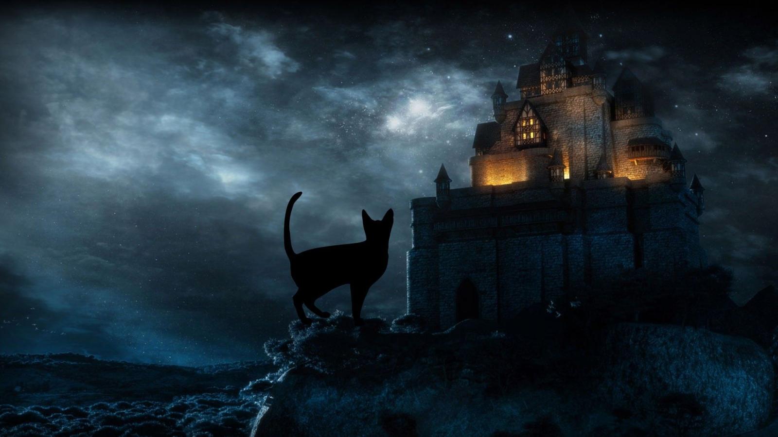 1920x1080 Halloween Black Cat HD Desktop Wallpapers 34269 - Baltana
