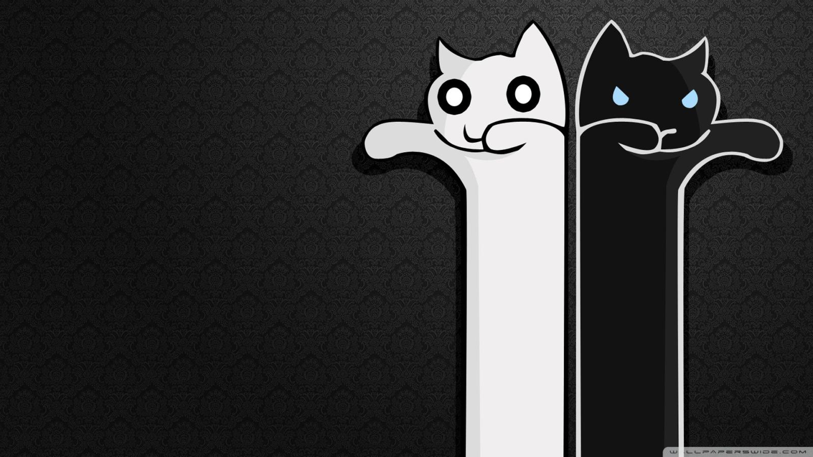 1920x1080 Download Wallpaper - Black Cat And White Cat (#64824) - HD Wallpaper