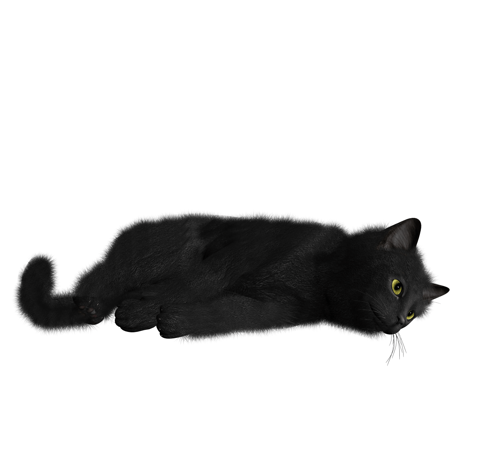 1600x1520 Black cat Kitten Desktop Wallpaper - cats png download - 1600*1520